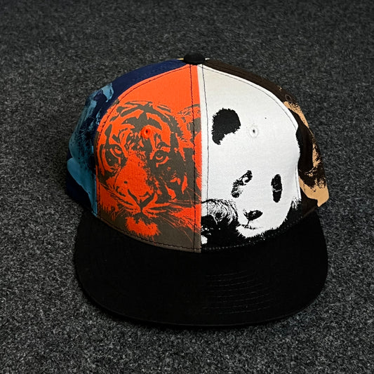 Teenage Goorin Bros Unique Split-Panel Cap ( KIDS CAP AGE 6-18 )