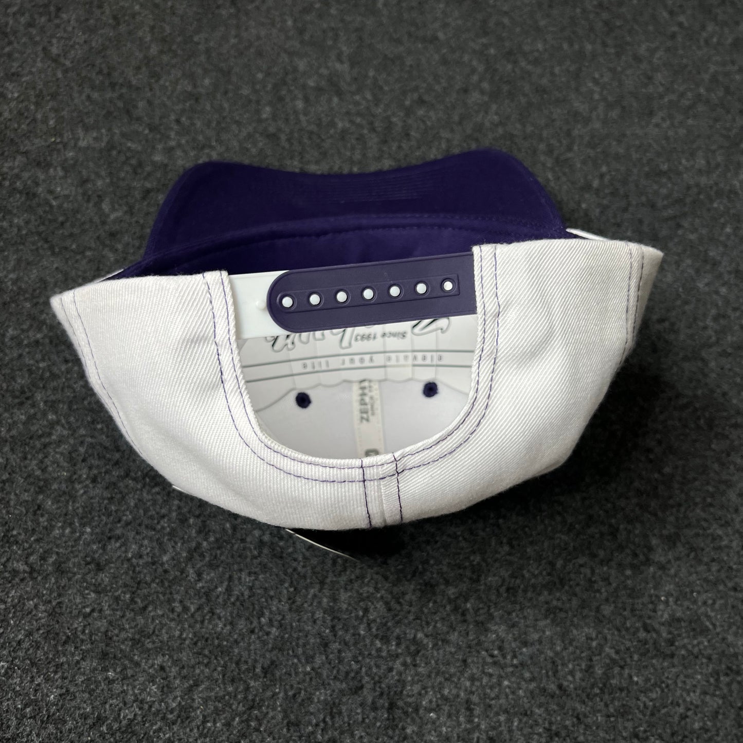 Purple Grapes Baseball Mascot Cap