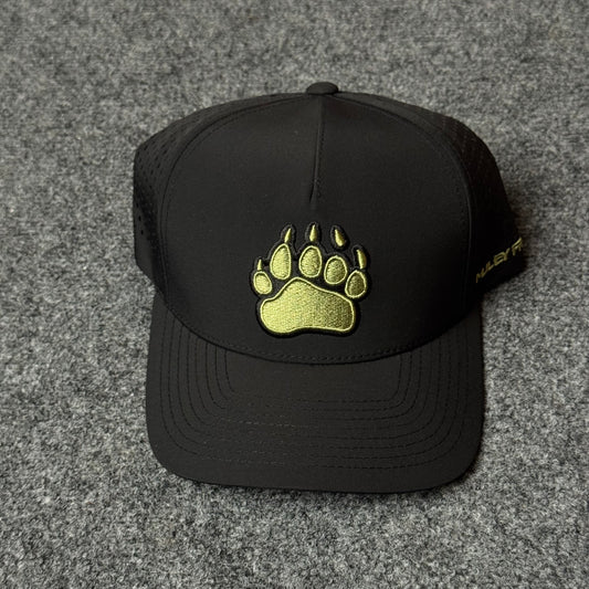 PRO Bear Paw Flatty cap in Black