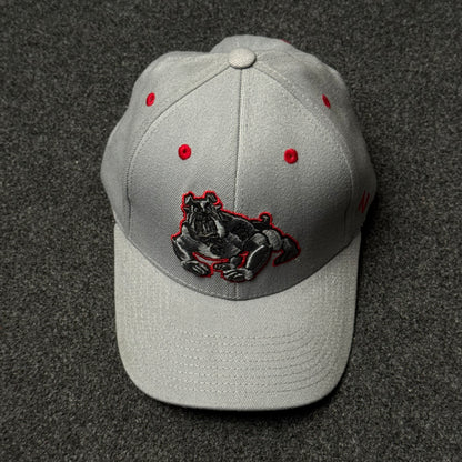Fresno State Bulldogs Mens Grey Z11 Fitted Cap  (M size )