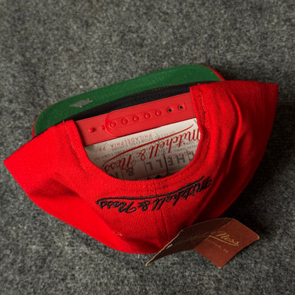 Mitchell & Ness Toronto Raptors Core Side Snapback Cap