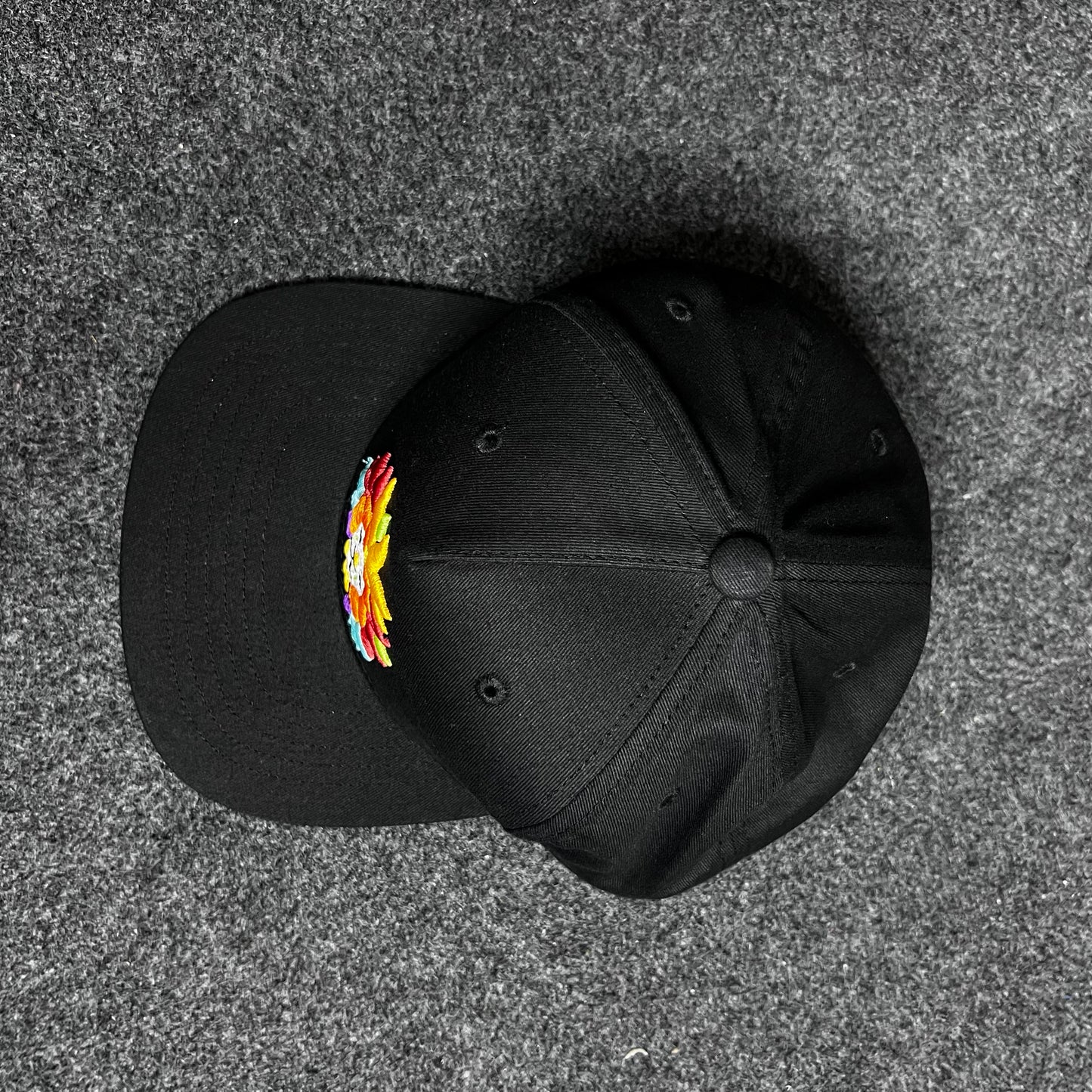 San Diego Zoo Colorful Lion Flat Brim Snapback Cap.