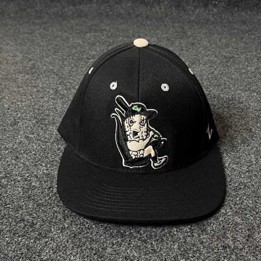 Michigan State Spartans embroidered baseball Fitted Cap  (M size )