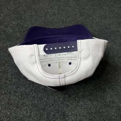 Purple Grapes Baseball Mascot Cap