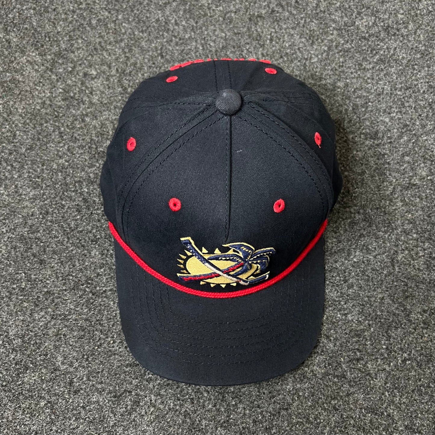 Florida Panthers Retro Logo Hat – Navy & Red