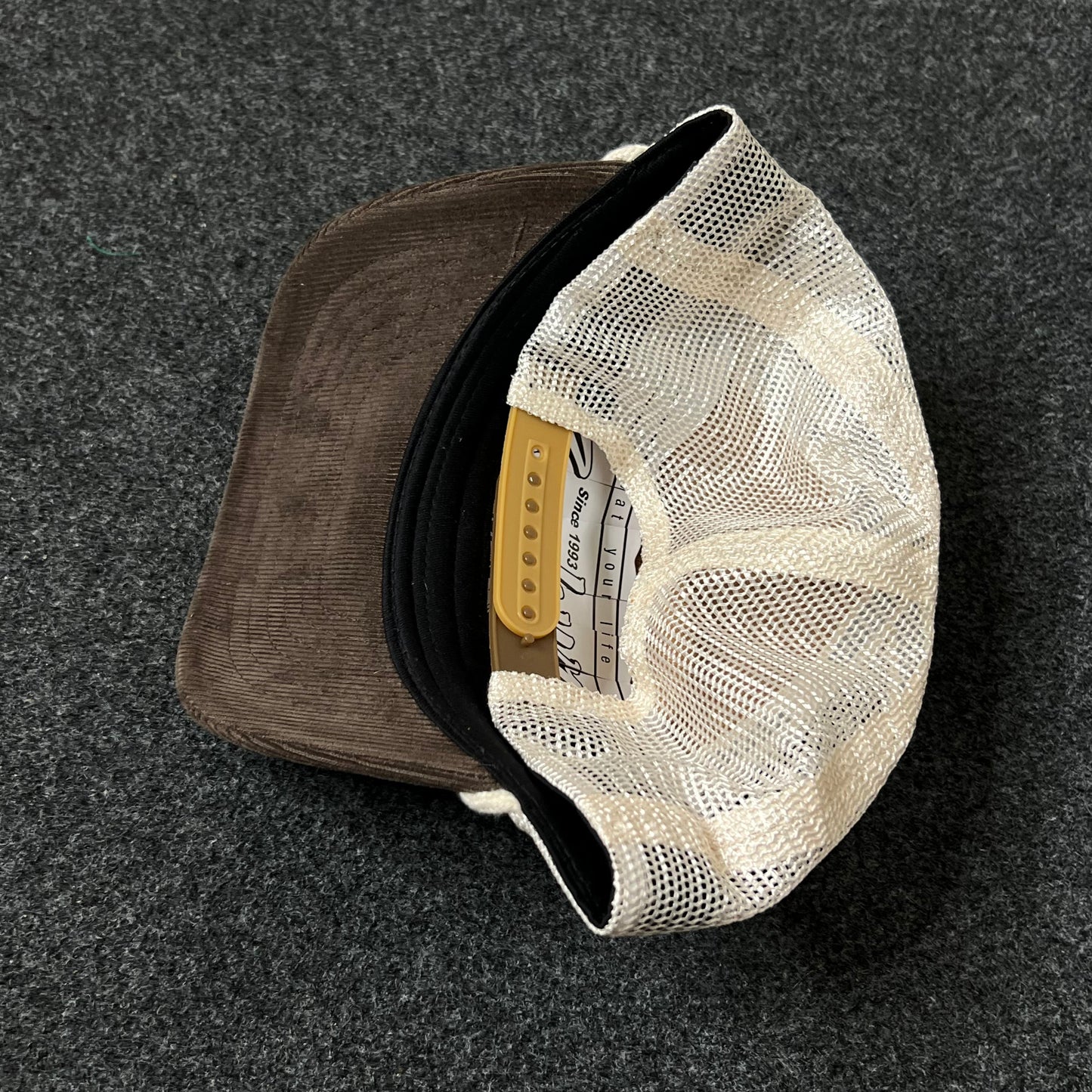 Acadia National Park Baseball Hat – Brown & Tan
