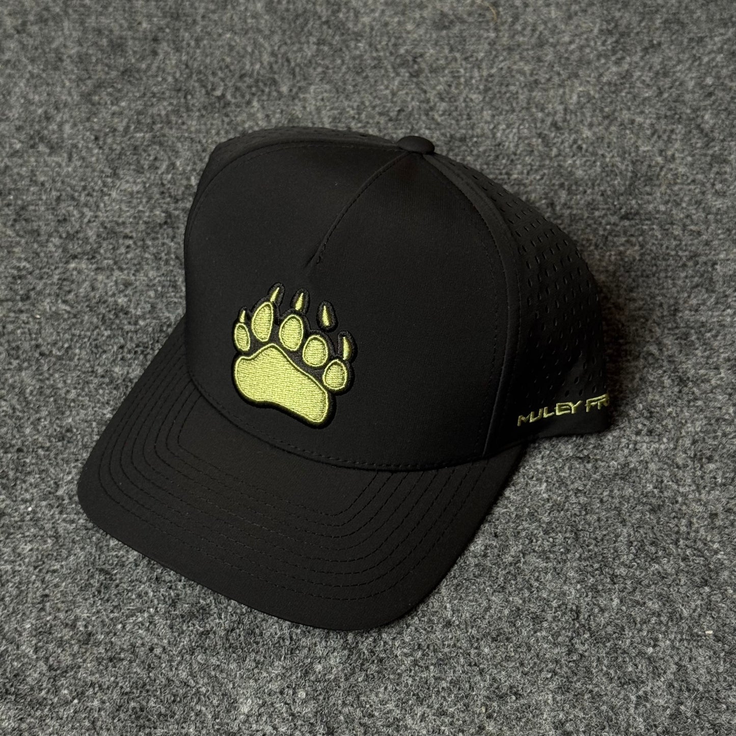 PRO Bear Paw Flatty cap in Black