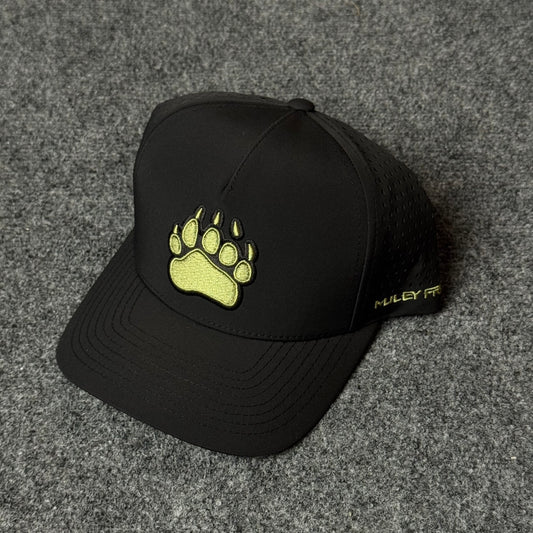 PRO Bear Paw Flatty cap in Black