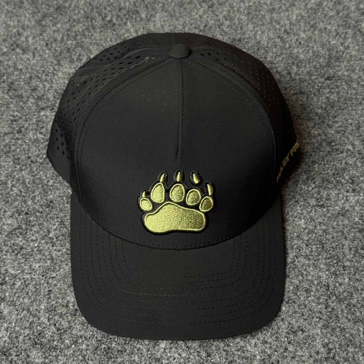 PRO Bear Paw Flatty cap in Black
